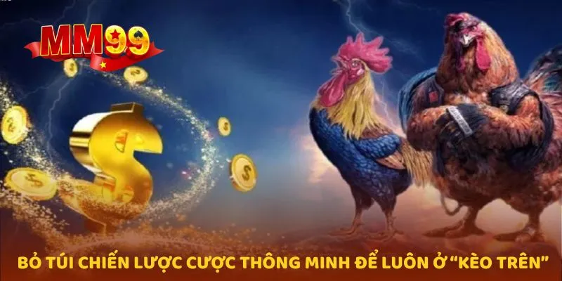 Bỏ túi chiến lược cược thông minh để luôn ở “kèo trên”
