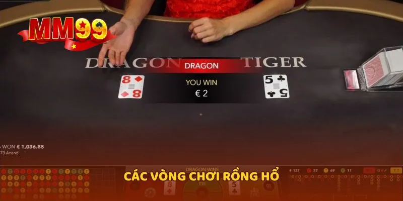 Các vòng chơi Rồng Hổ