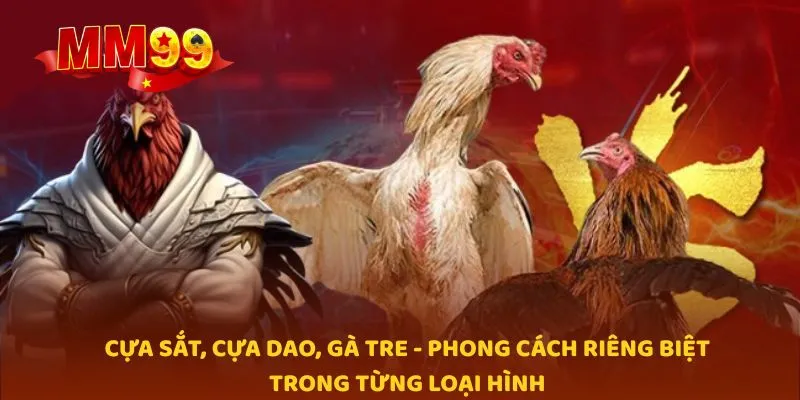 Cựa sắt, cựa dao, gà tre - phong cách riêng biệt trong từng loại hình