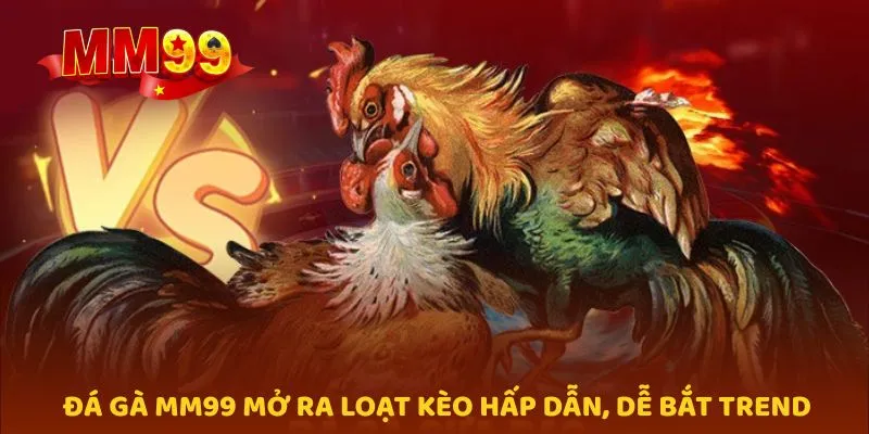 Đá gà MM99 mở ra loạt kèo hấp dẫn, dễ bắt trend