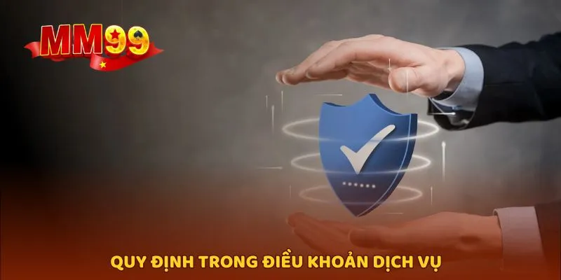 Tìm hiểu một vài quy định được nêu trong điều khoản dịch vụ