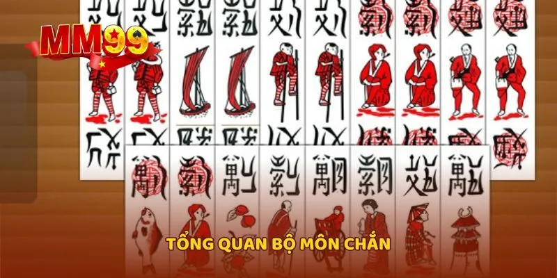 Tổng quan bộ môn Chắn