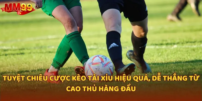 Tuyệt chiêu cược kèo tài xỉu hiệu quả, dễ thắng từ cao thủ hàng đầu