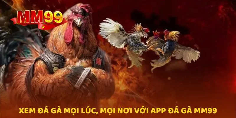Xem đá gà mọi lúc, mọi nơi với app đá gà MM99
